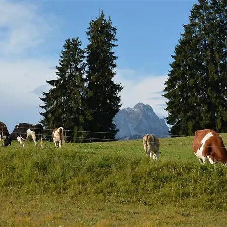 Mutzli By Interhome Saanenmöser