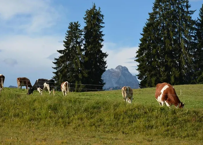 Mutzli By Interhome Saanenmöser