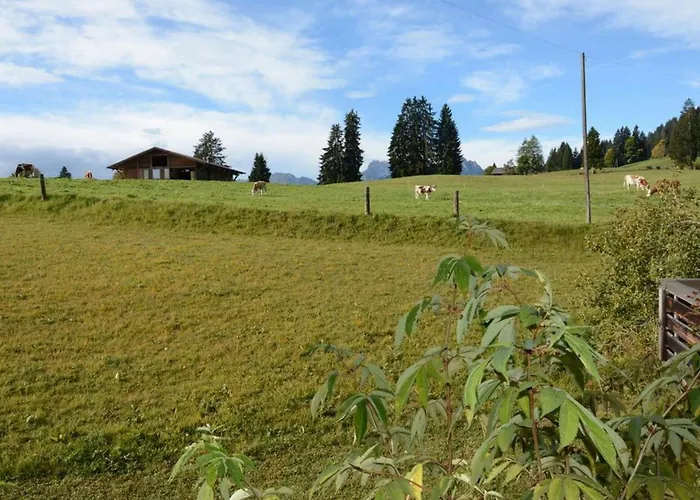 Mutzli By Interhome * Saanenmöser